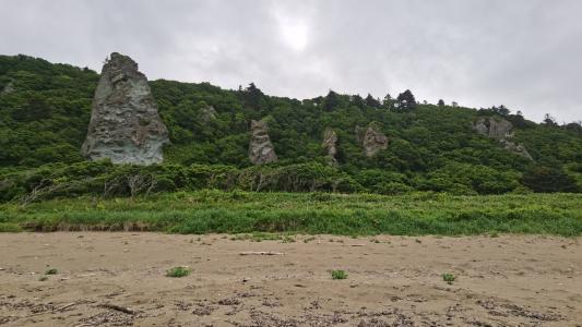 Курил - 12