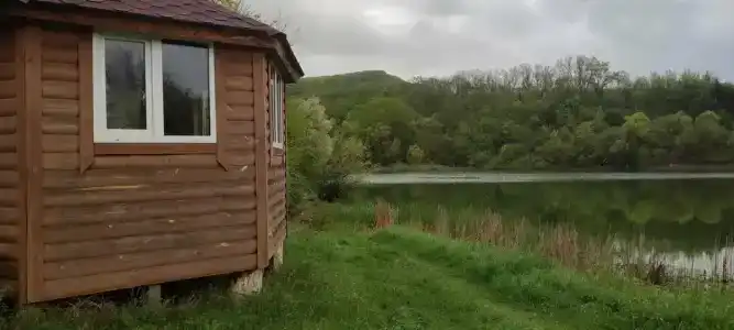 Родное - 4