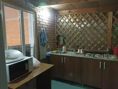 Тюльпан - 20
