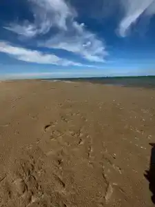 Морской Дворик - 20