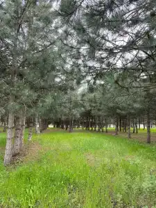 База отдыха на Черкасском Тракте - 49
