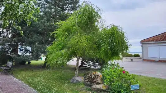 Балтийские пески - 40