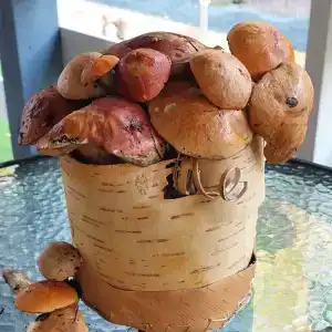 Карельская сказка - 7