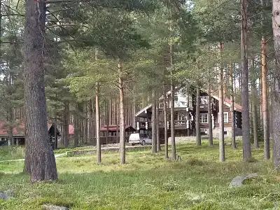 Карнавал - 66