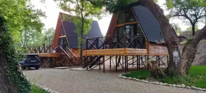 Богатый лес - 0