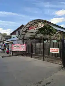 Снегири - 0