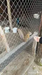 Спальный корпус Коверши - 85