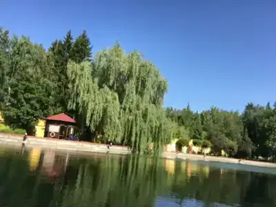Богородское - 51