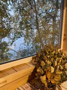 Юрта Лахти - 96