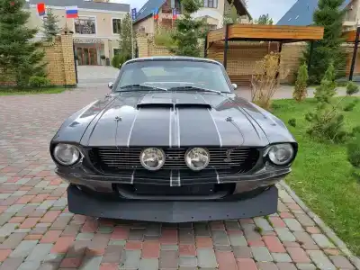Гости - 38