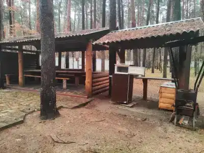 Лесная7 - 10