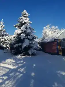 Снежный Барс - 8