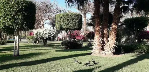 The Grand Resort - 45