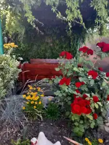 Пансионат Сказка - 3