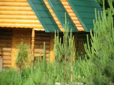 База отдыха 4 стихии - 17