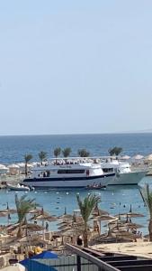 Beach Albatros - - 29