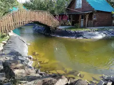 Березовые дали - 5