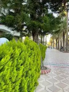 Club Selen Icmeler (Former Selen 2) - 29