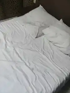 Атмосфера на Толстого - 50