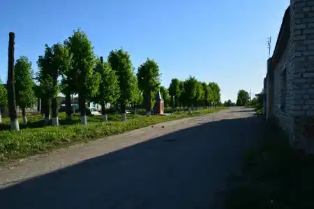 Лес среди болот - 42