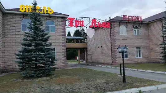 Три Льва - 38