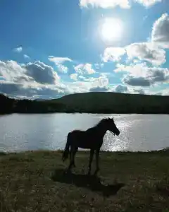 Солнечное озеро - 16