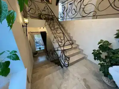 Серый Волк - 37