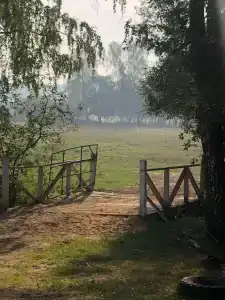 Гостецкий двор - 6