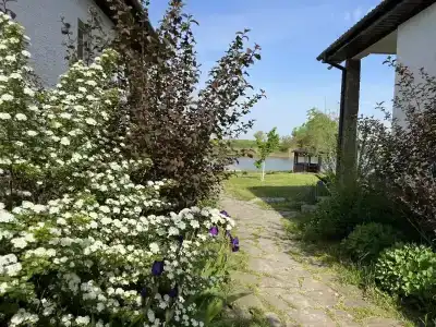 Фазенда - 20