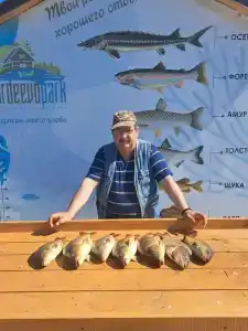 Гордеево-Парк - 39