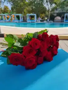 Riga Village Resort - 58