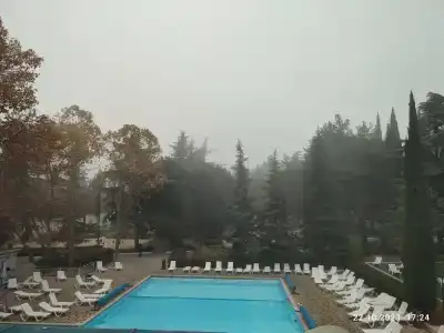 Магнолия - 31