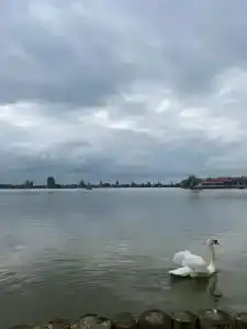 Ихтиолог - 96