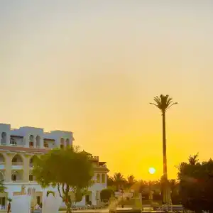 Albatros Citadel Resort - 21