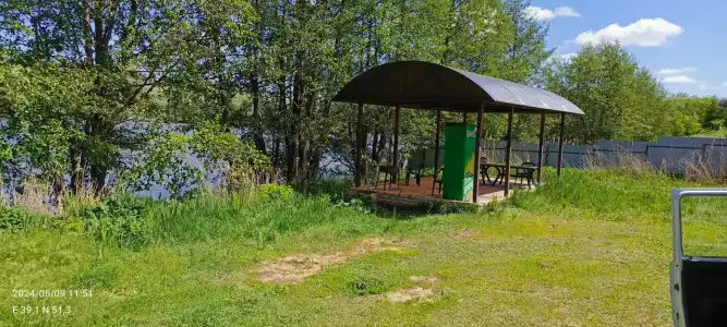 Золотой карп - 27