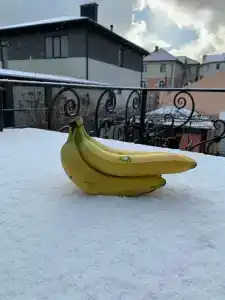 Лангепас - 2