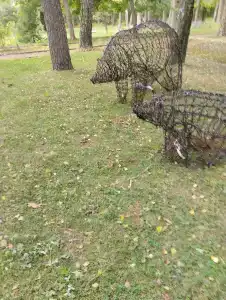 Красный Бор - 98