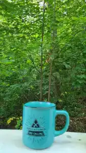 Отдыхаево - 46