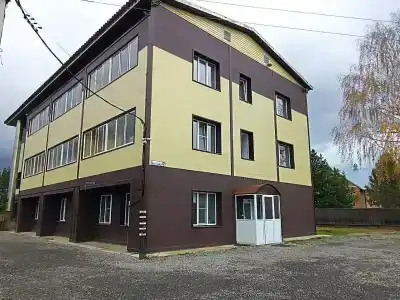 Две берёзки - 19