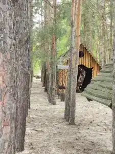 Простоквашино - 13