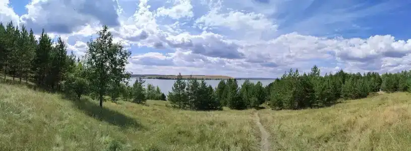 Сосновый бор - 31