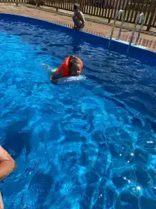 Фламинго - 39