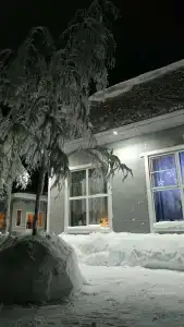 Лесная сказка - 4