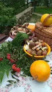 Гостевой дом на озере Стреглино - 60