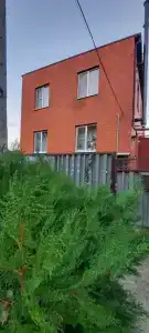 Инжир - 4