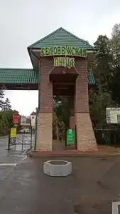 Беловежская пуща. №2 - 29