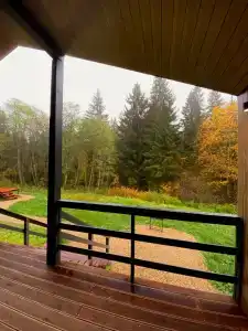 Хвойный Лес - 6