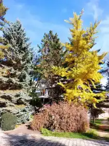Ленинград - 6