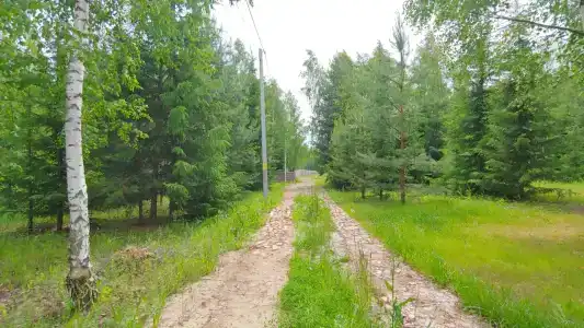 Саф - 43