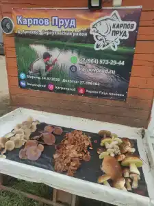 Карпов Пруд - 6